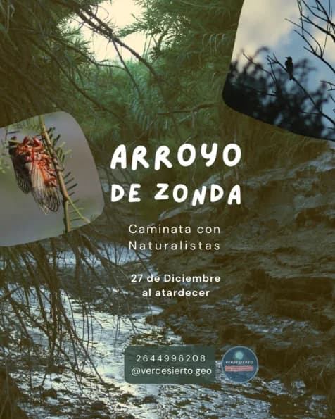 Arroyo de Zonda - Caminata con Naturalistas