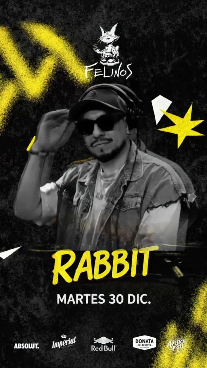 Rabbit Dj Set