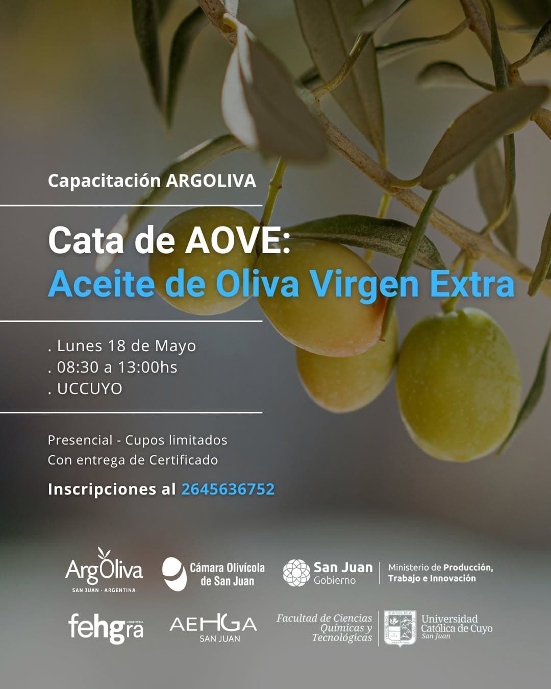 Cata de AOVE: Aceite de Oliva Virgen Extra