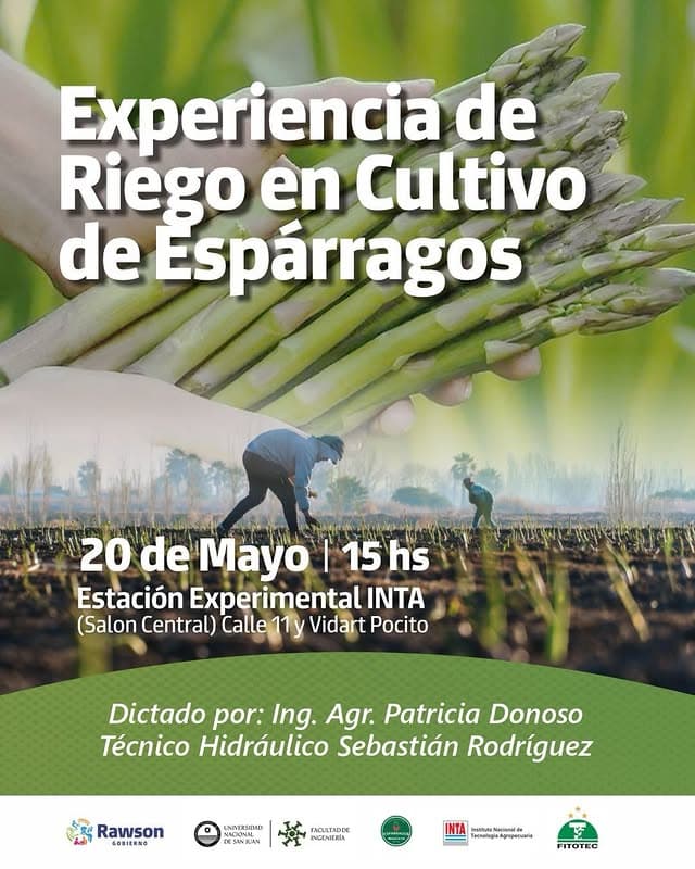 Experiencia de Riego en Cultivo de Esparragos