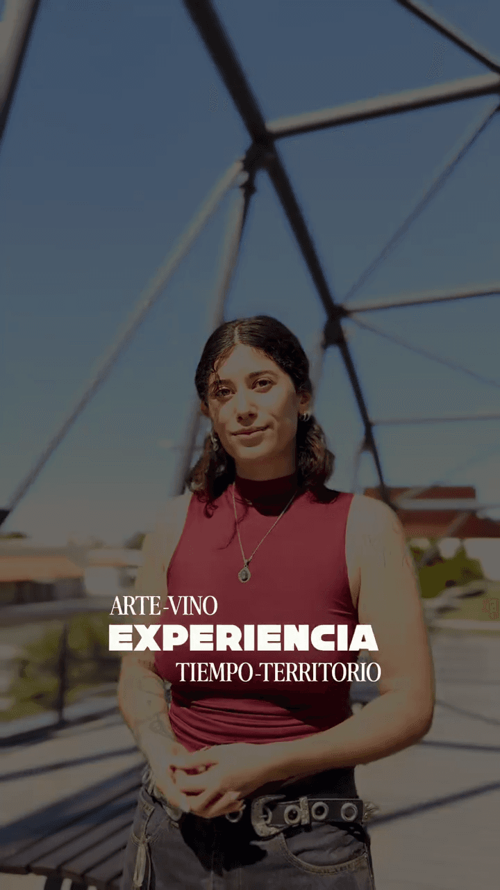 Arte - Vino Experiencia Tiempo - Territorio