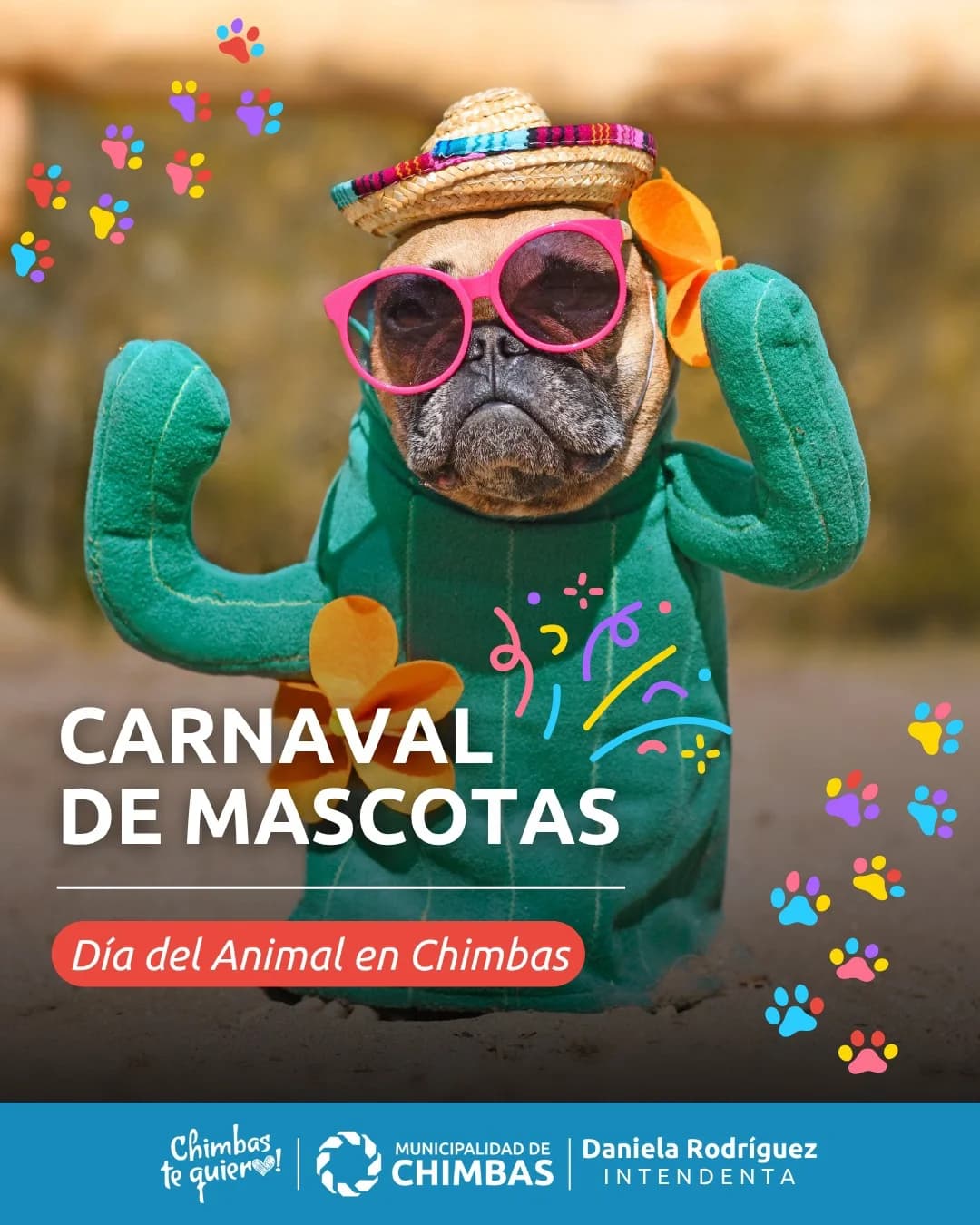 Carnaval de Mascotas