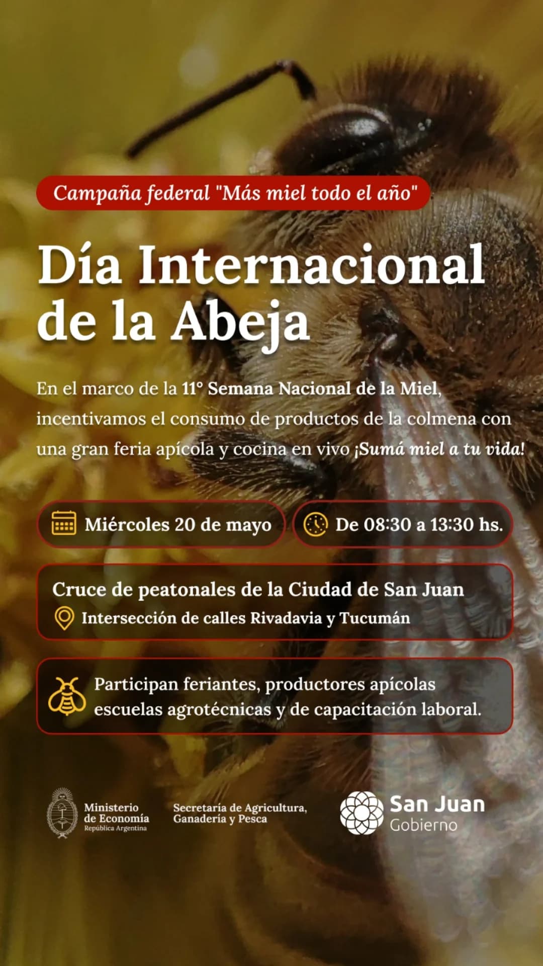 Dia Internacional de la Abeja