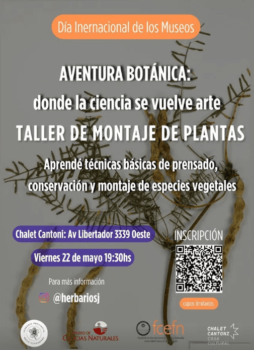 Aventura Botanica: Donde la Ciencia se Vuelve Arte - Taller de Montaje de Plantas