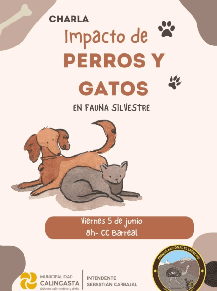 Charla Impacto de Perros y Gatos