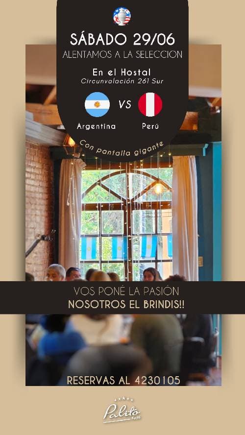 partido en palito