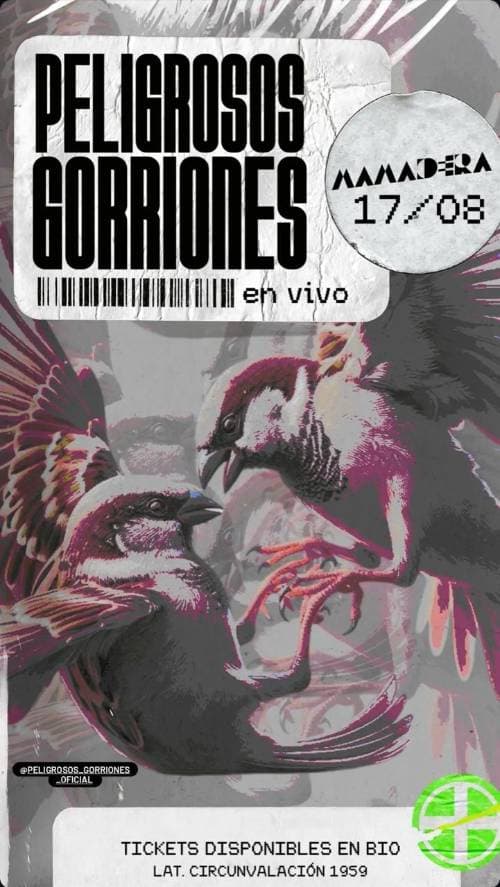 Peligrosos Gorriones