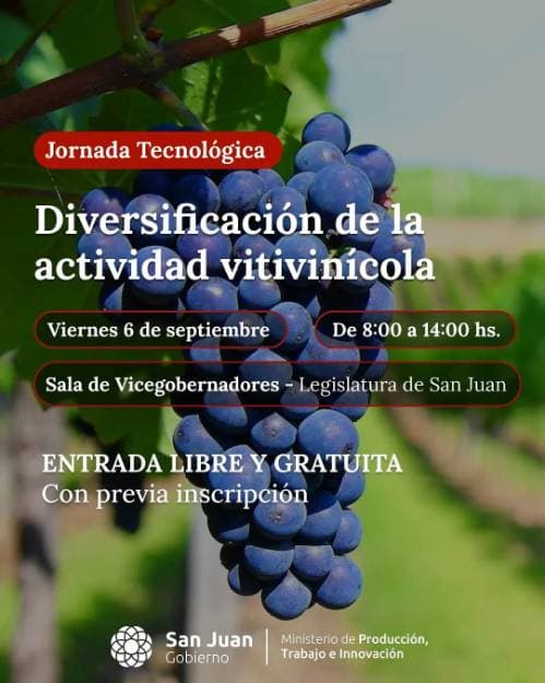 Diversificacion de la Actividad Vitivinicola