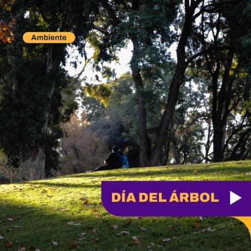 Dia Nacional del Arbol
