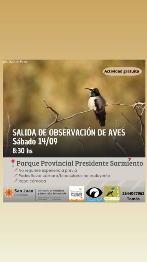 Salida de Observacion de Aves