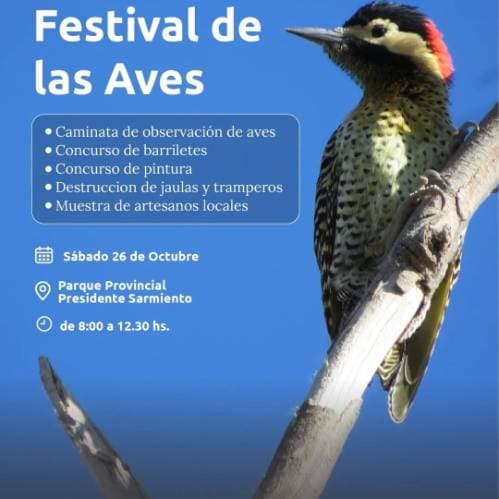 Festival de las Aves