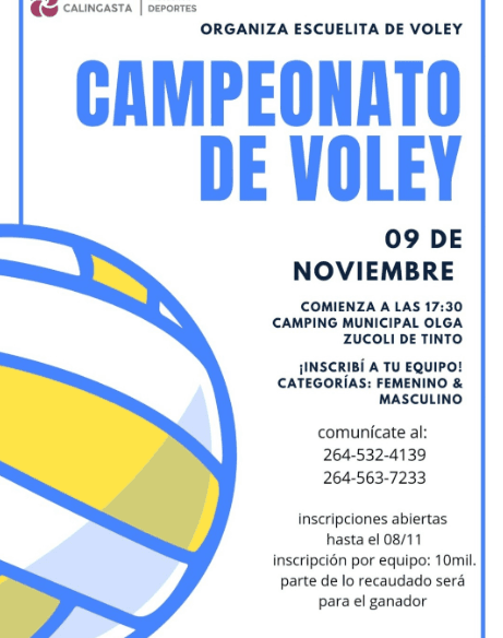 Campeonato de Voley