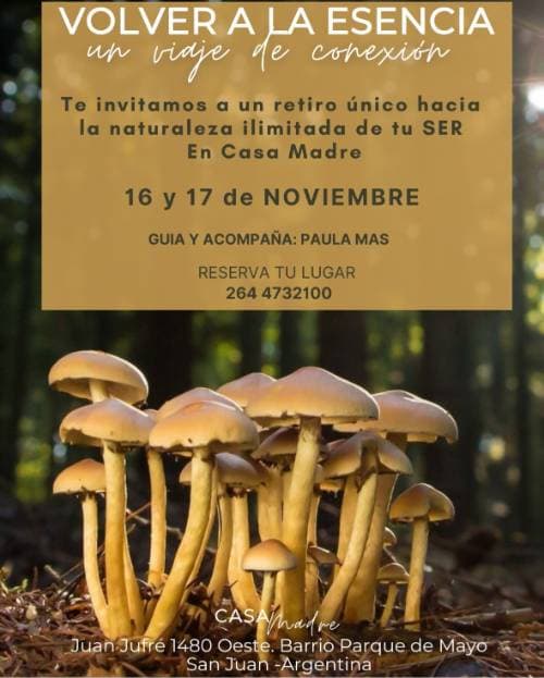 Volver a la Esencia: Un Viaje de Conexion
