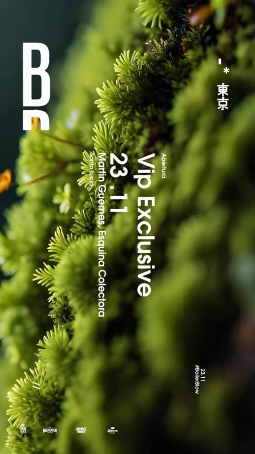 Apertura Boiler Blow