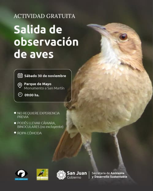 Salida de Observacion de Aves