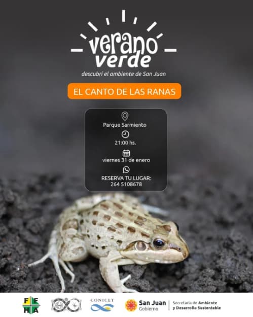 Verano Verde: El Canto de las Ranas