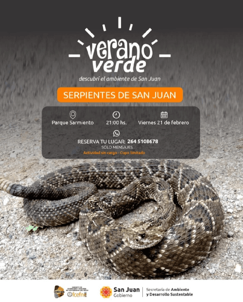 Verano Verde: Serpientes en San Juan
