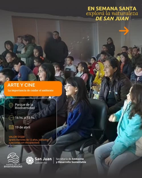 Arte & Cine