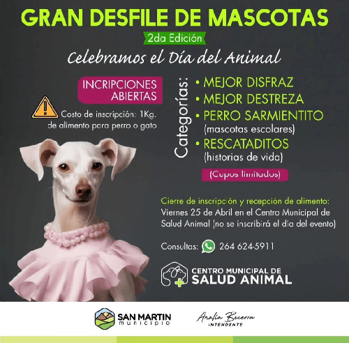 Gran Desfile de Mascotas