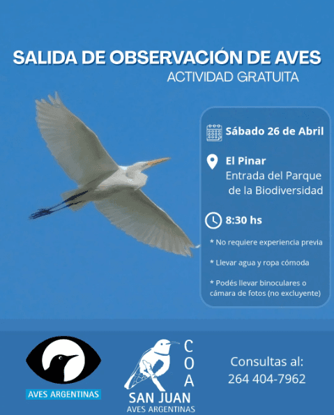 Salida de Observacion de Aves
