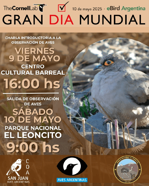 Charla Introductoria a la observación de aves