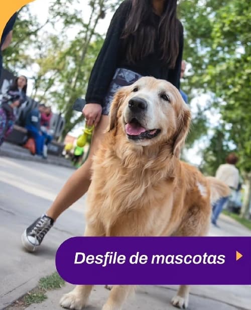 Desfile de Mascotas