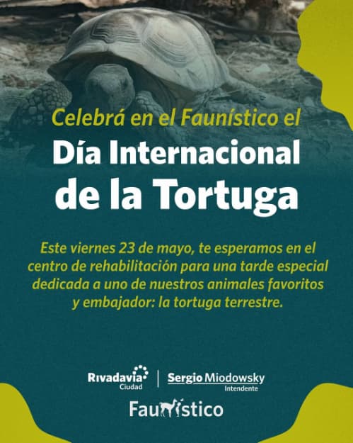Dia Internacional de la Tortuga