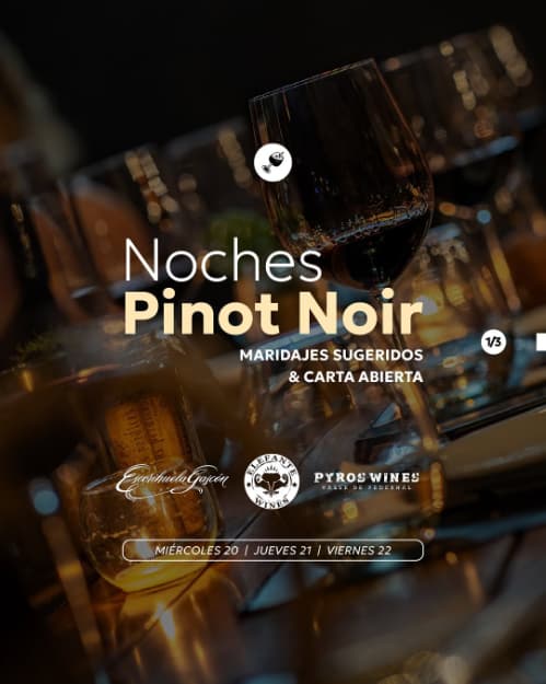 Noches Pinot Noir