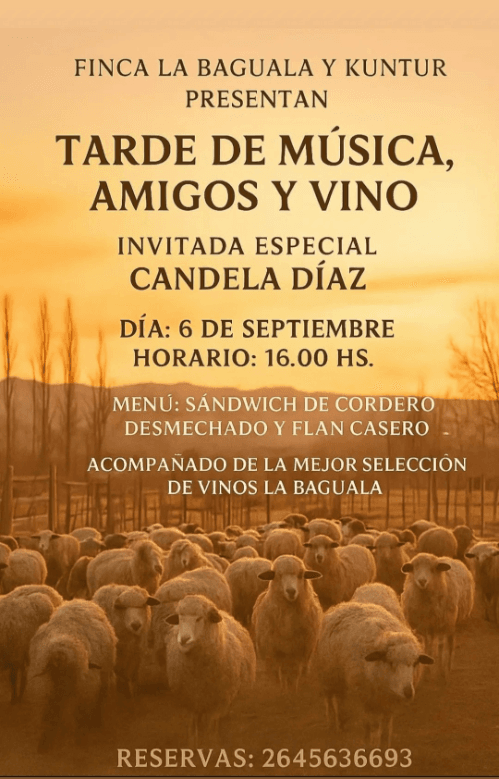 Tarde de Musica, Amigos & Vino