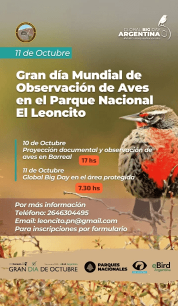 Gran Dia Mundial de Observacion de Aves