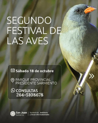 Segundo Festival de las Aves