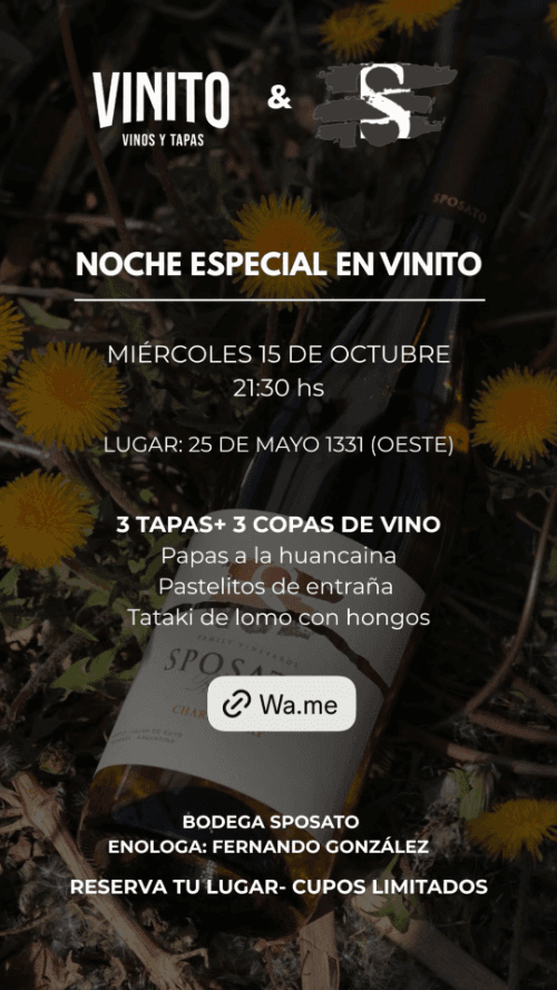 Noche Especial en Vinito