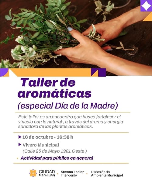 Taller de Aromaticas
