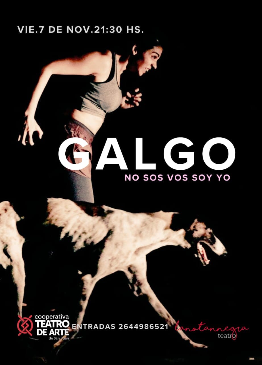 Galgo, No sos Vos soy Yo
