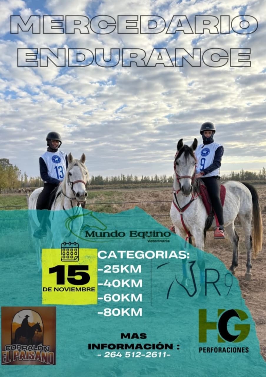 Mercedario Endurance