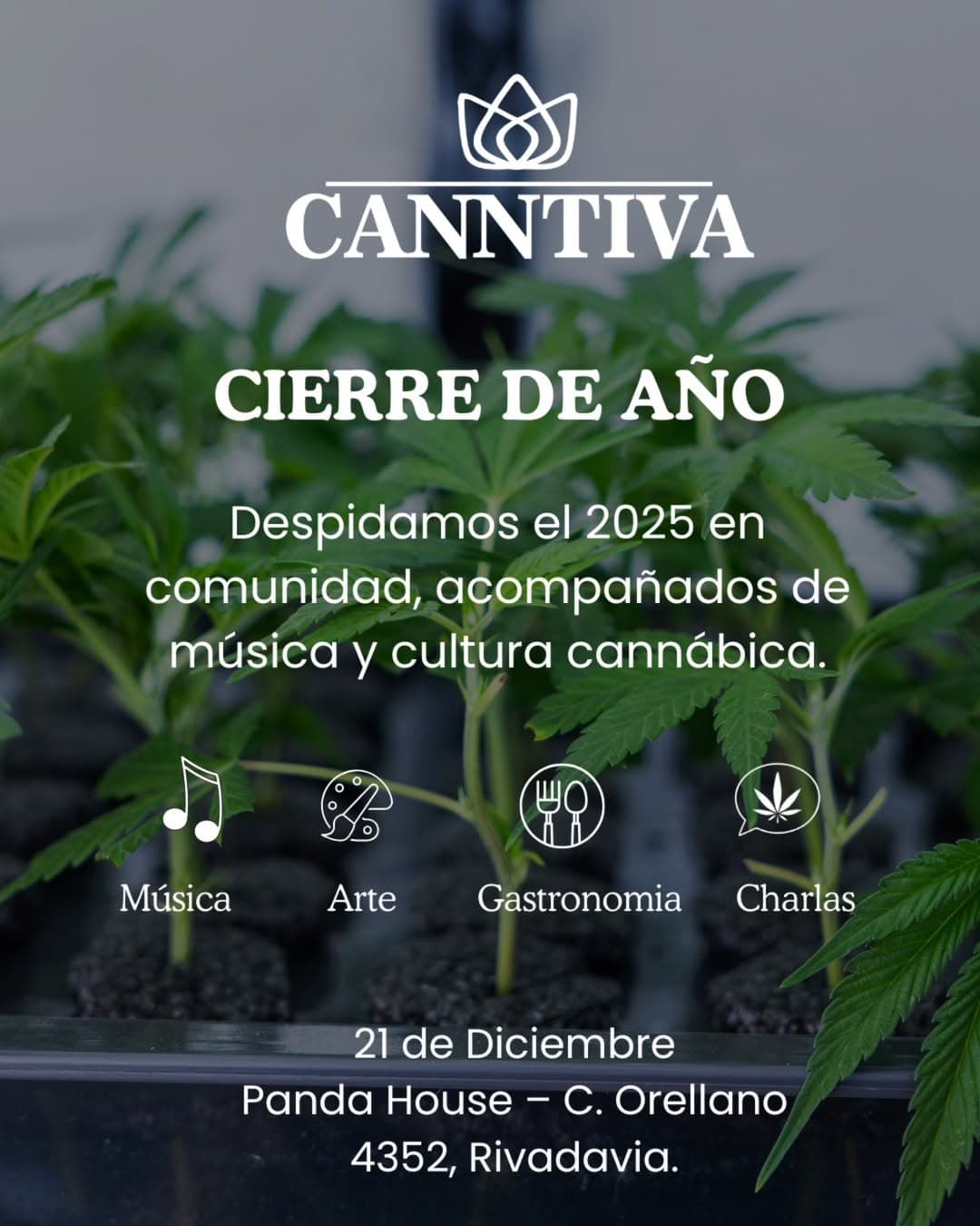 Cierre de Año Canntiva 2025