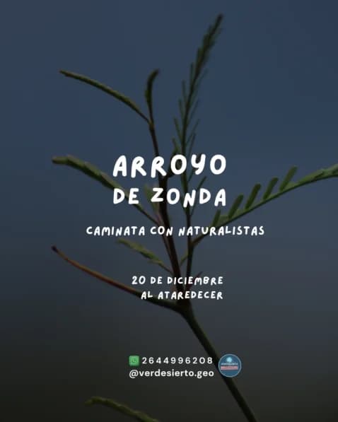 Arroyo de Zonda - Caminata con Naturalistas