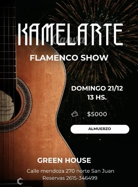 Kamelarte - Flamenco Show