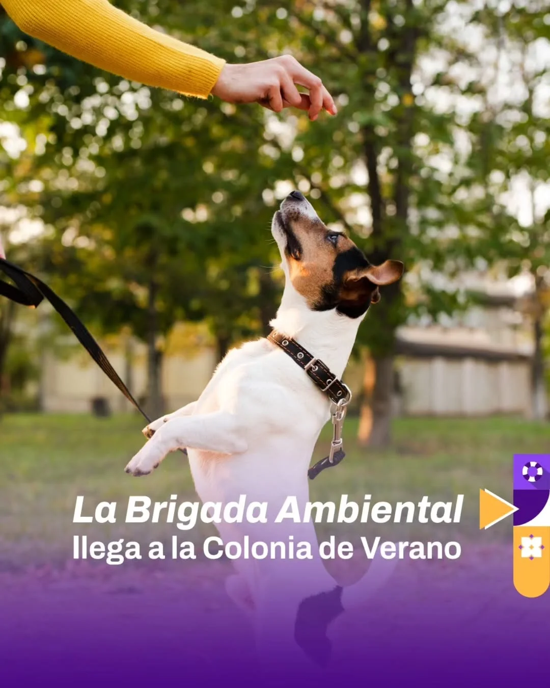 La Brigada Ambiental
