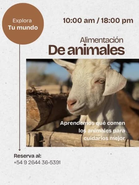 Aprende la Alimentacion de Animales