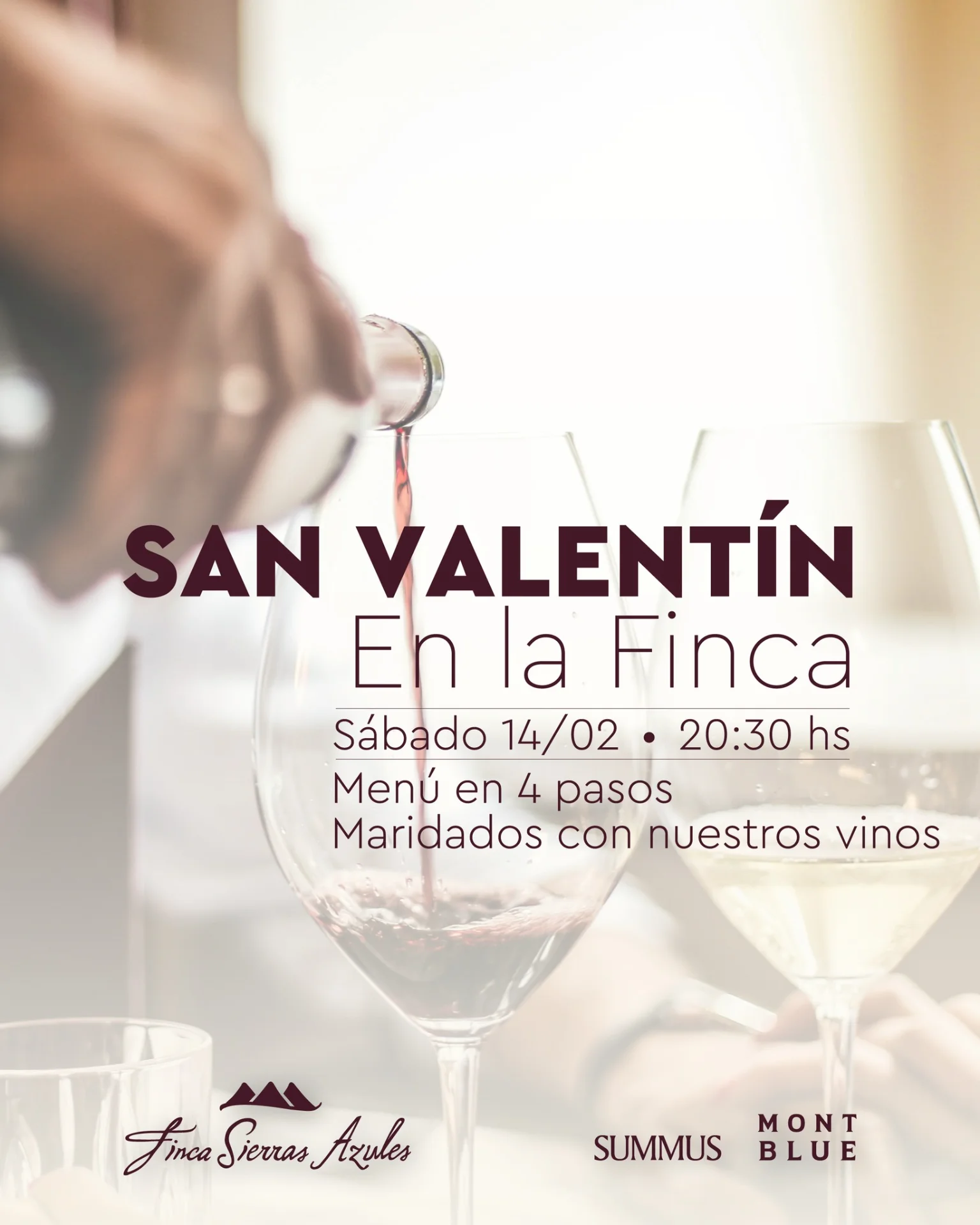 San Valentin - Tenor Ricardo Elizondo - Evento en San Juan