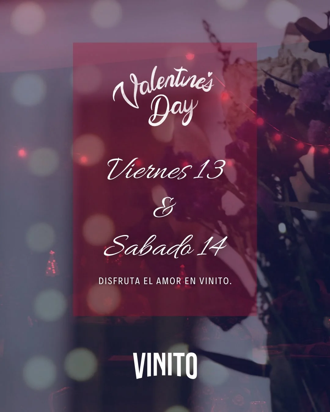 Show de Boleros - Martin Krywo - Evento en San Juan