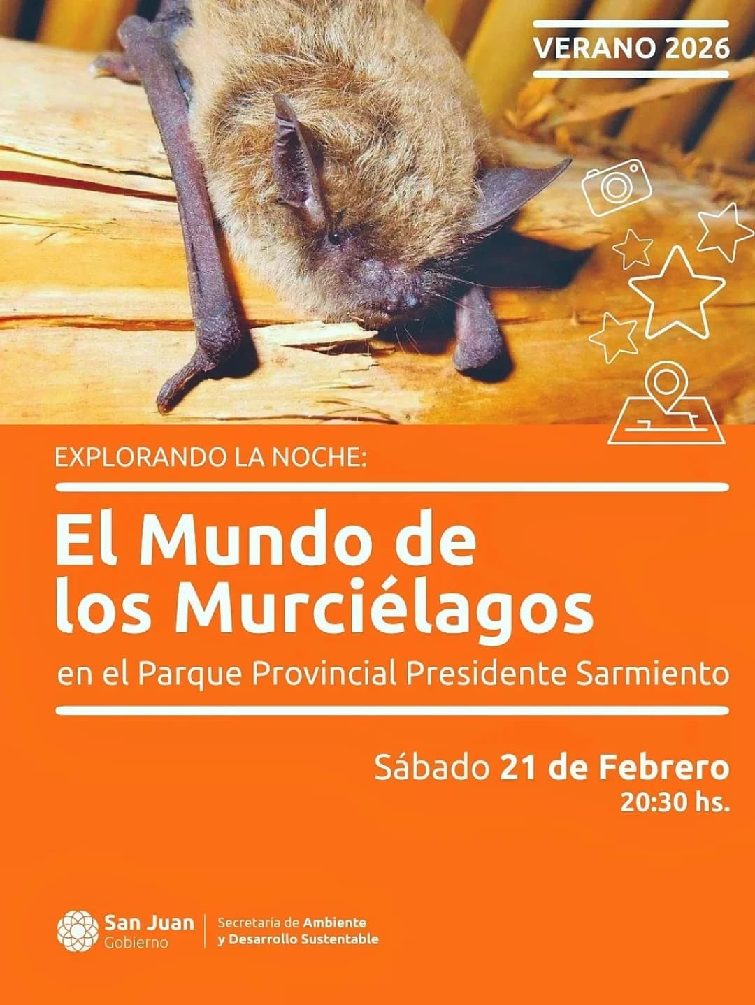 Explorando la Noche - El Mundo de los Murcielagos - Evento en San Juan