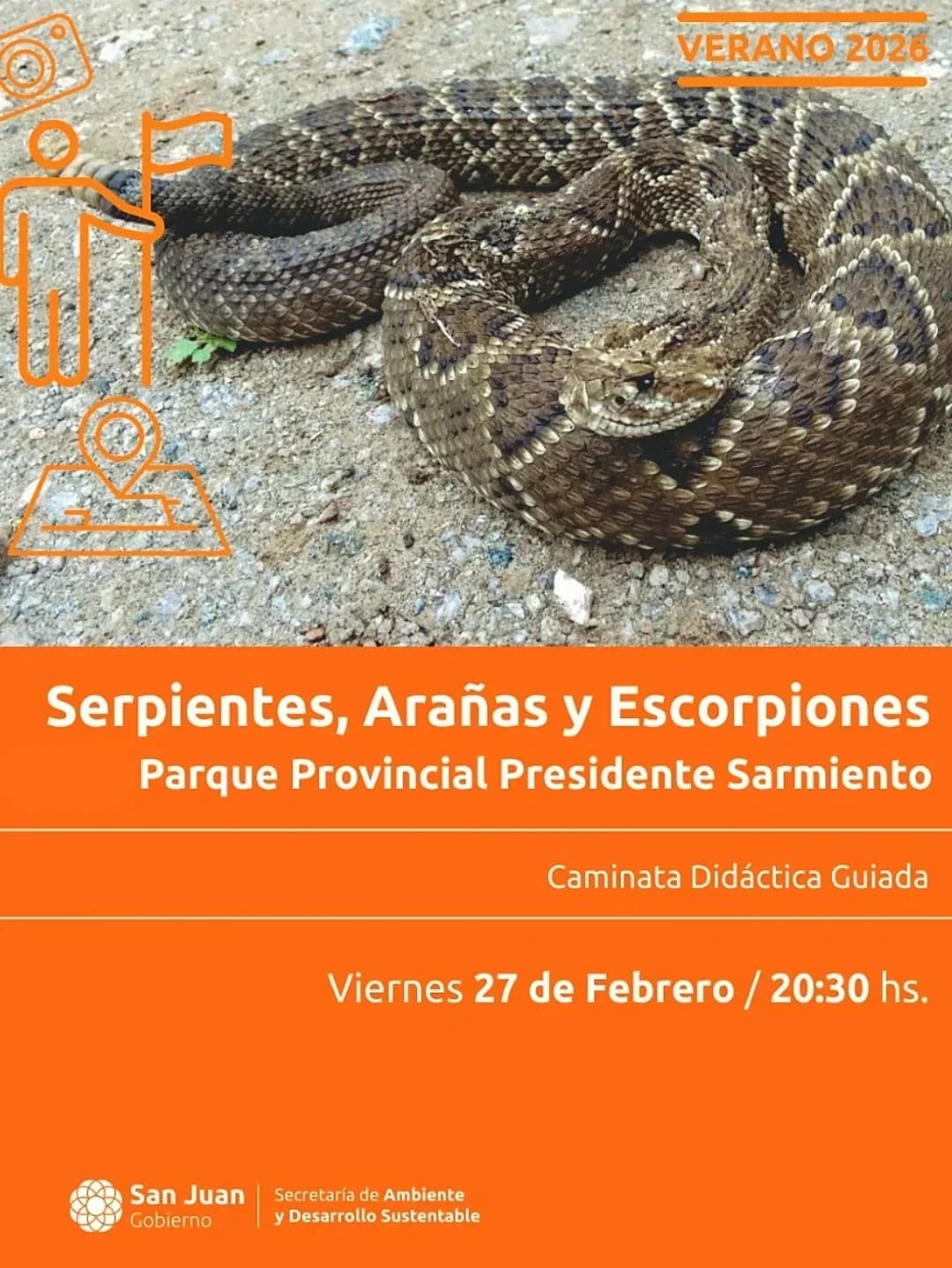 Explorando la Noche - Serpientes, Arañas & Escorpiones