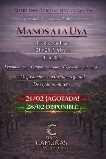 Experiencia de Vendimia Participativa - Manos a la Uva - Evento en San Juan