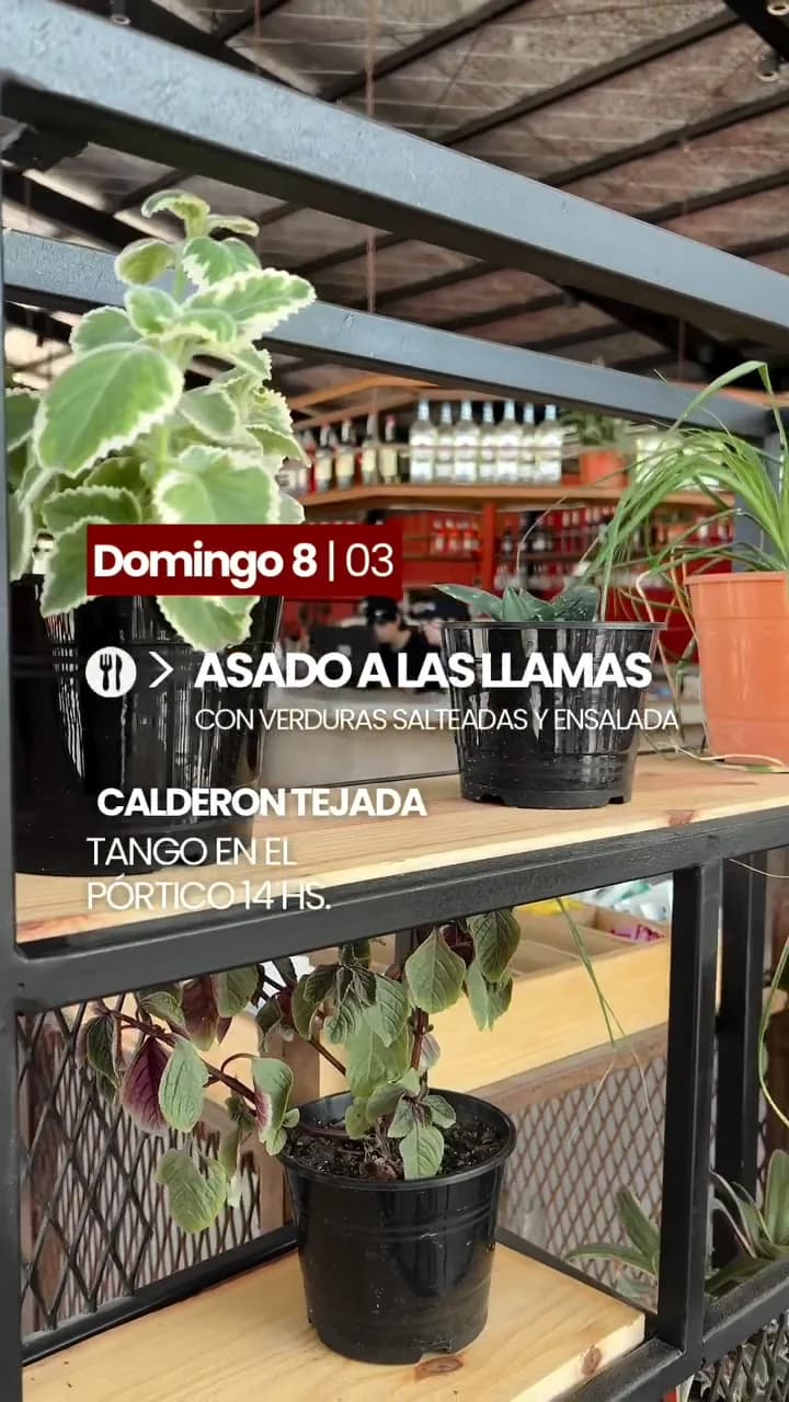 Calderon Tejada - Evento en San Juan