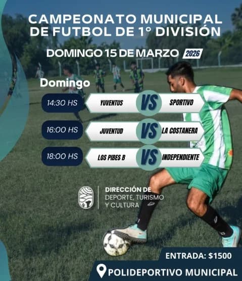 Campeonato Municipal de Futbol de 1º Division