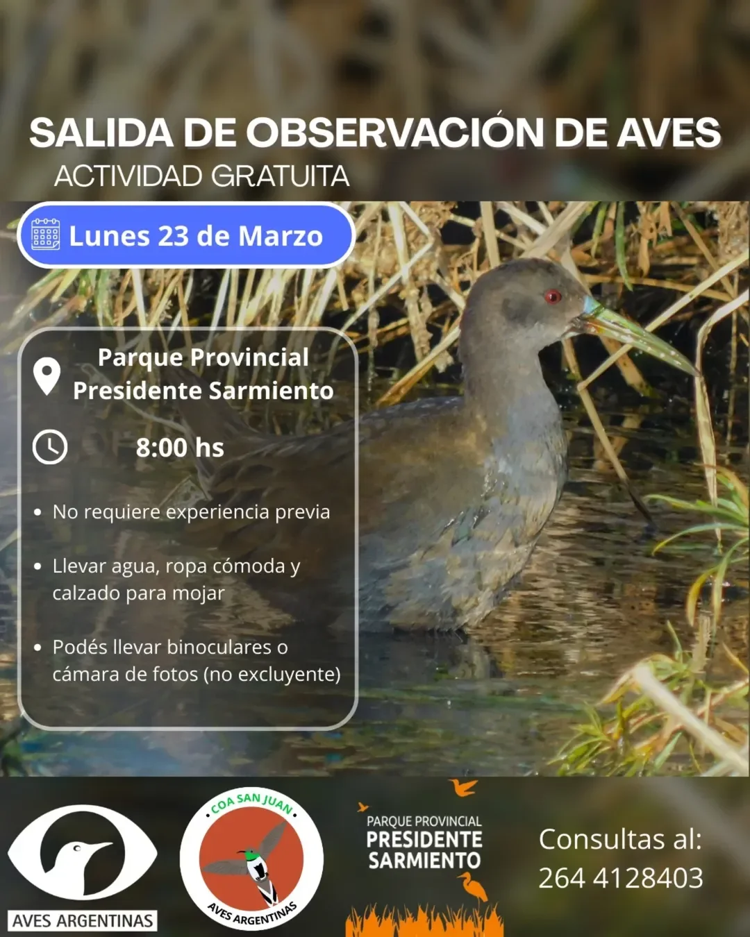 Salida de Observacion de Aves