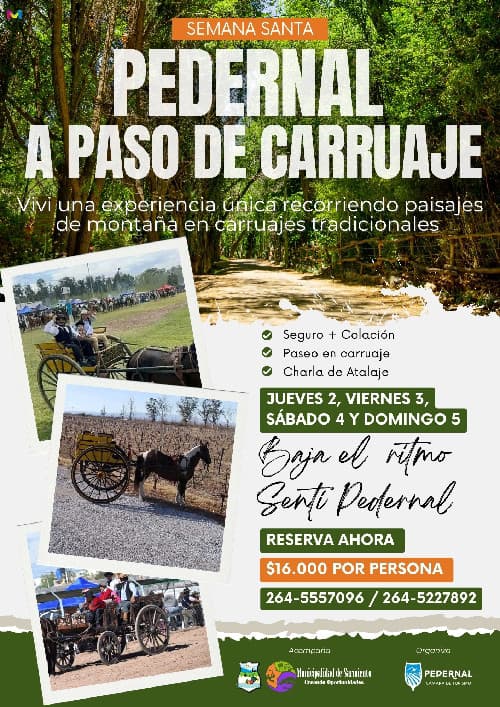 PEDERNAL A PASO DE CARRUAJE 🐎🐴🍇