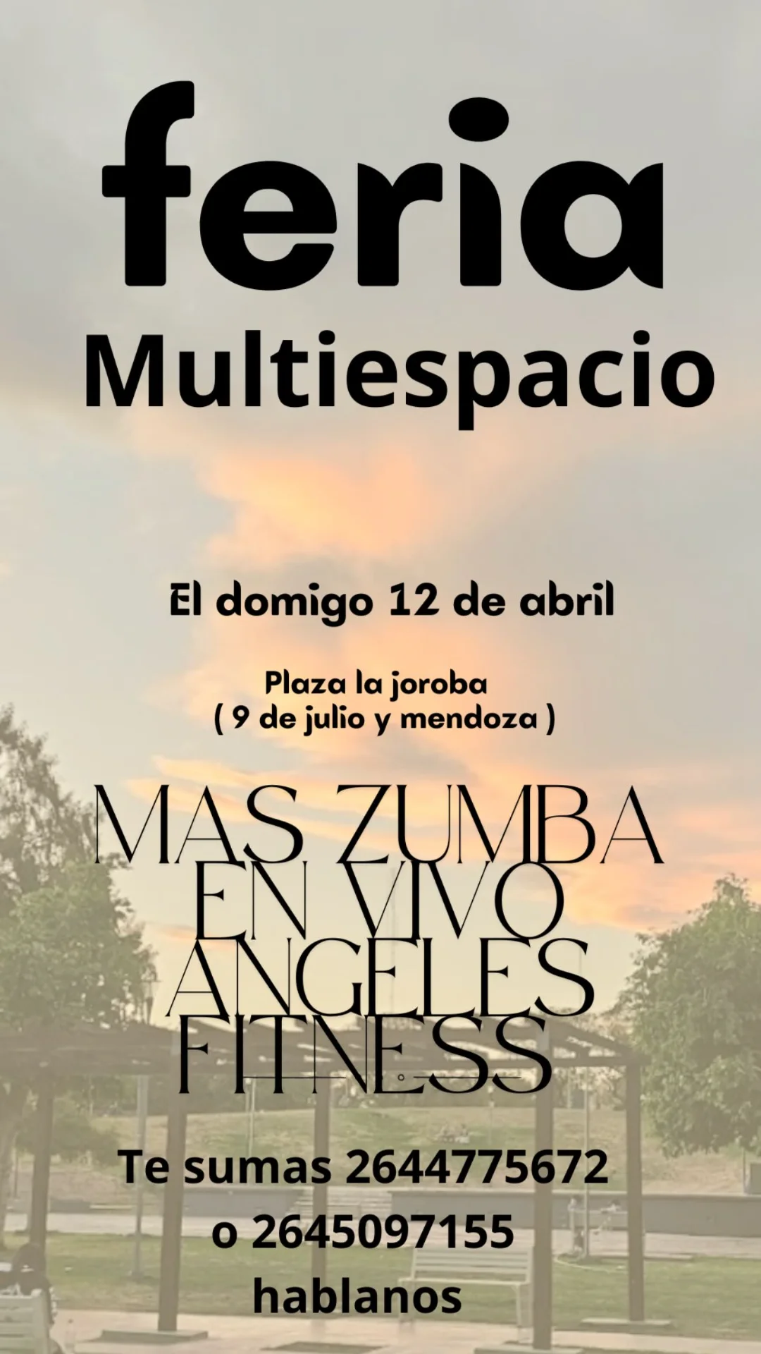 Feria Multiespacio